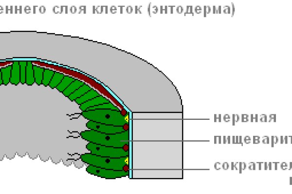 Кракен тор ссылка